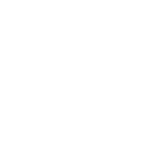 Noyara